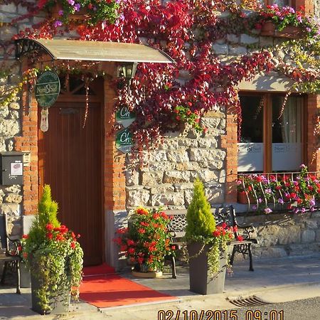 B&B Nord Sud Salmchâteau Zewnętrze zdjęcie