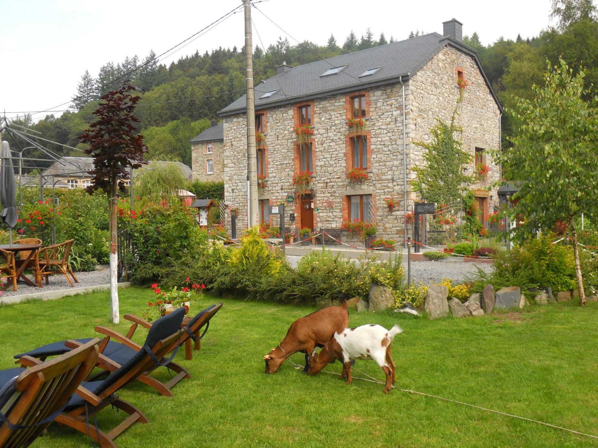 B&B Nord Sud Salmchâteau Zewnętrze zdjęcie