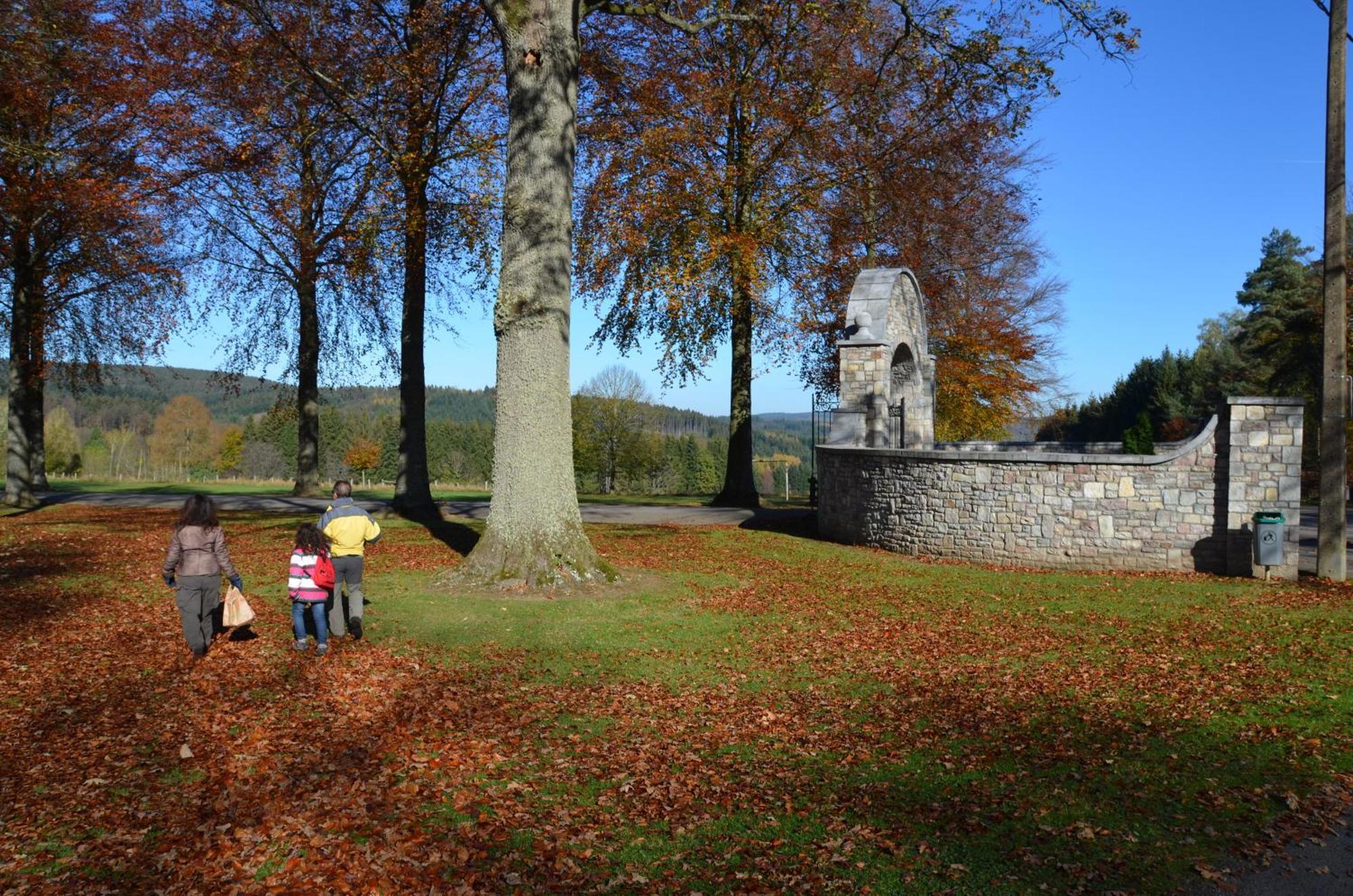 B&B Nord Sud Salmchâteau Zewnętrze zdjęcie